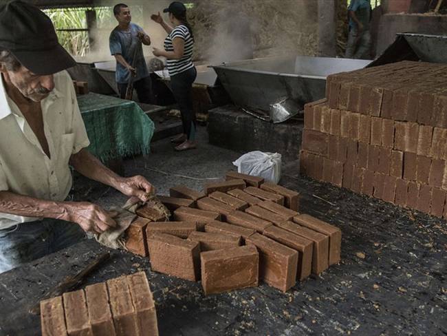 Minagricultura puso en marcha campaña para proteger 350 mil familias paneleras del país. Foto: Getty Images