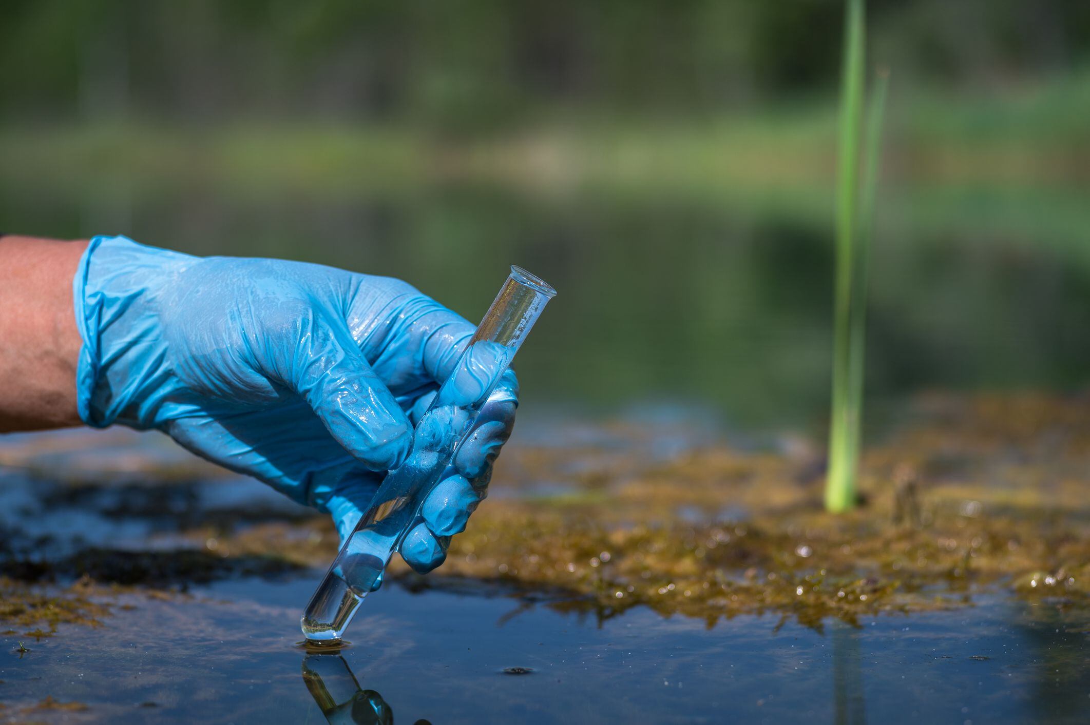 Preocupación por calidad del agua en Bogotá: ¿por qué sale amarilla?