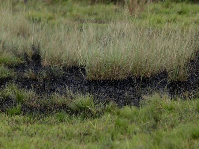 La Anla investigará la emergencia ambiental en el Parque Natural Serranía Las Quinchas por derrame de crudo. Foto: Colprensa