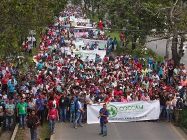 Cultivadores de hoja de coca se sumarán a la marcha hacia la ciudad de Cúcuta. Foto: Cortesía COCCAM