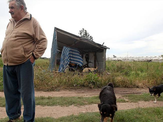 &#039;Pepe&#039; Mujica pide ser enterrado junto a su perra Manuela. Foto: Getty Images