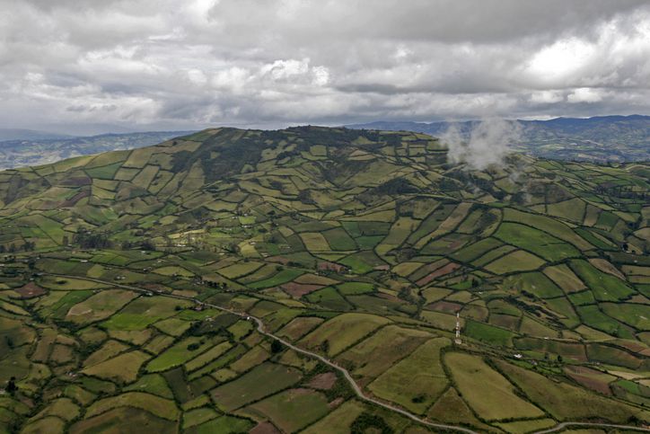 “Queremos legalizarles las tierras”: Luis Lara, heredero de tierras invadidas en Caquetá