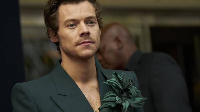 Harry Styles. (Photo by GEOFF ROBINS/AFP via Getty Images)