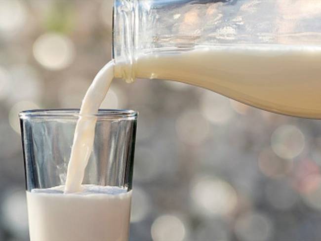 El doctor Mahsid Dehghan aseguró que la leche entera puede tener componentes beneficiosos para la salud y que recomienda el consumo de tres productos lácteos al día.. Foto: Getty Images