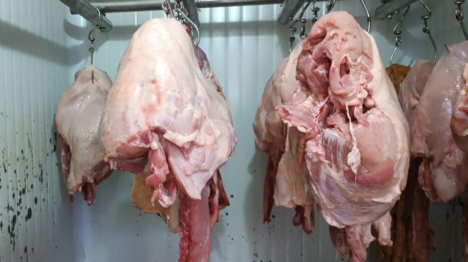 Foto: Alcaldía de Pereira