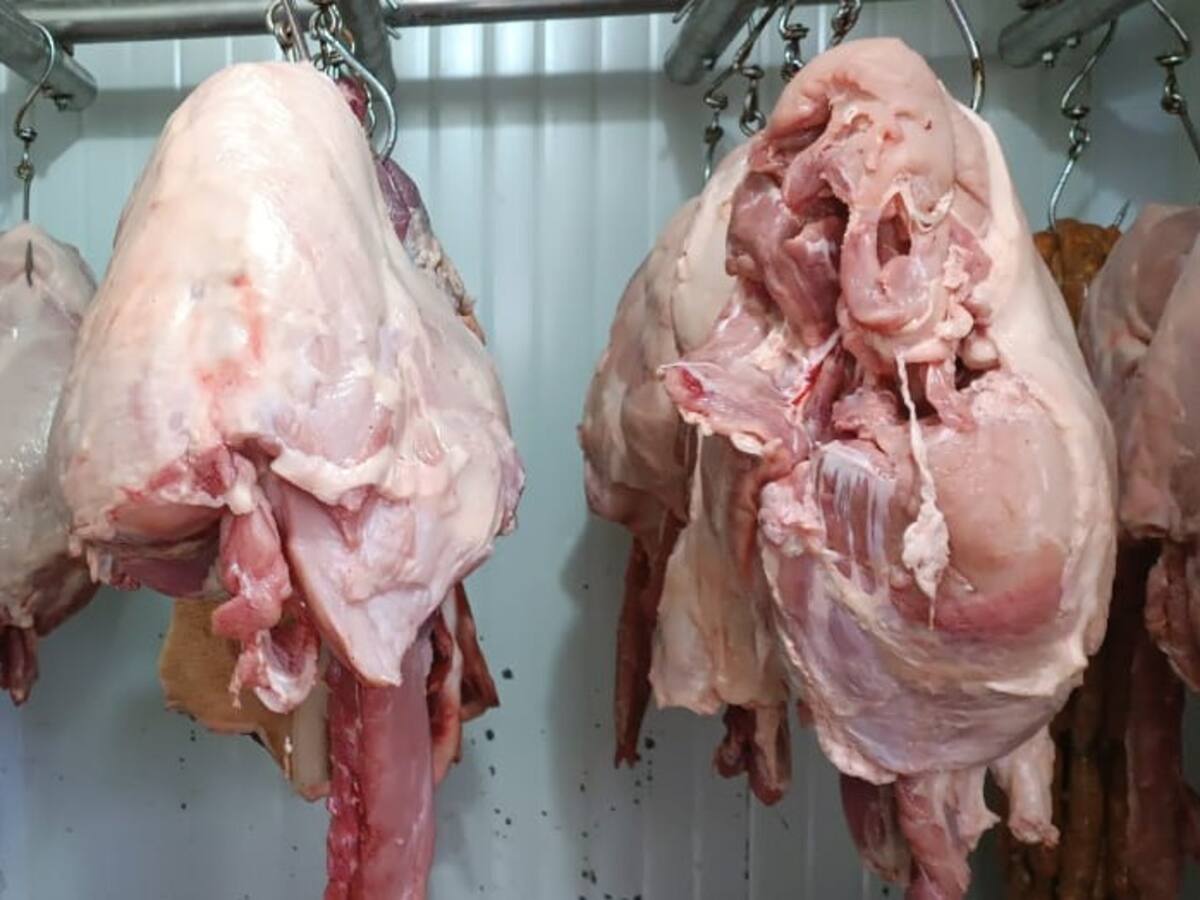 Autoridades incautaron más de una tonelada de carne de cerdo clandestina en Pereira
