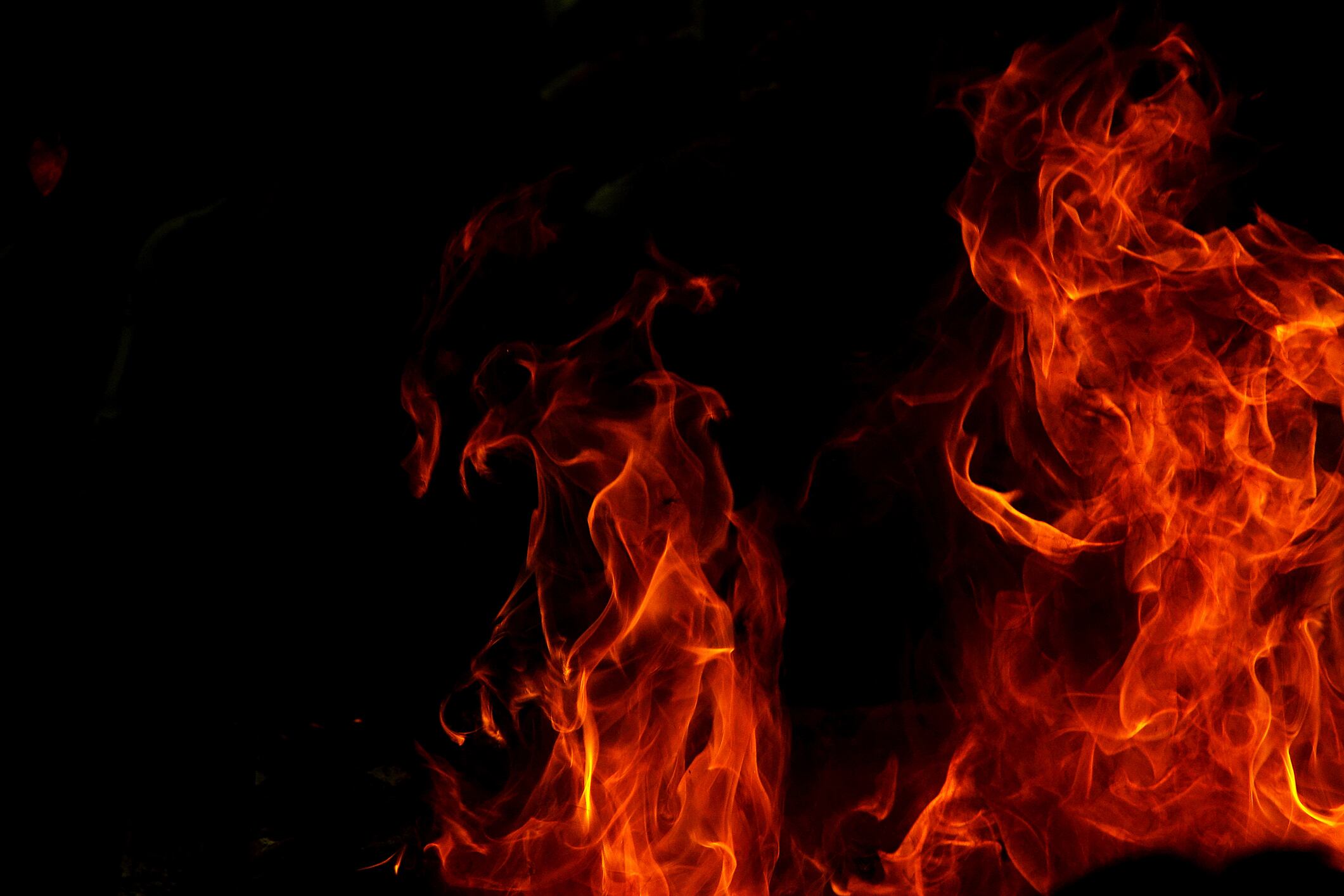 Imagen de referencia.