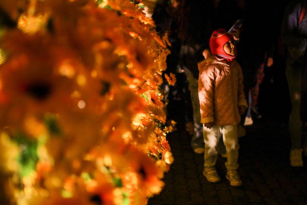Iluminación navideña en Bogotá. Foto: Juancho Torres / Anadolu Agency via Getty Images