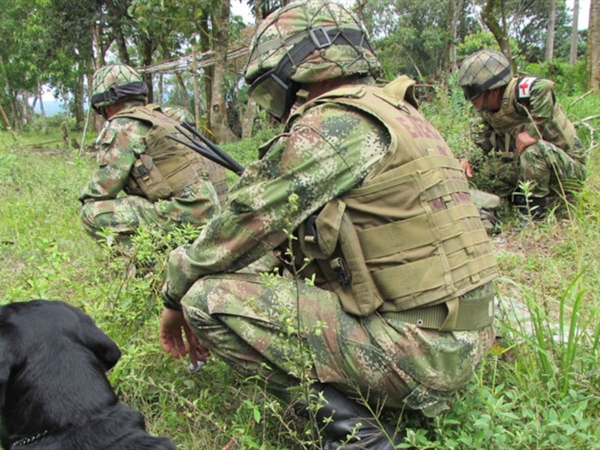 Persisten combates en zona rural de Suárez, Cauca