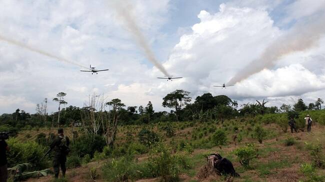 Comunidades rurales de Nariño anunciaron que no permitirán la erradicación obligatoria con glifosato. Foto: Colprensa
