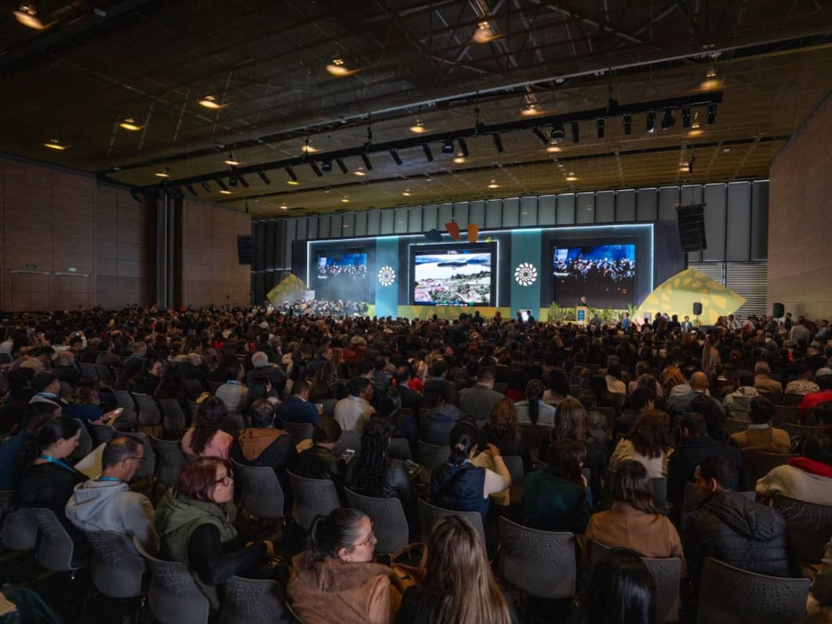 Articular esfuerzos institucionales: primeras conclusiones de la Cumbre Internacional Ambiental 2025