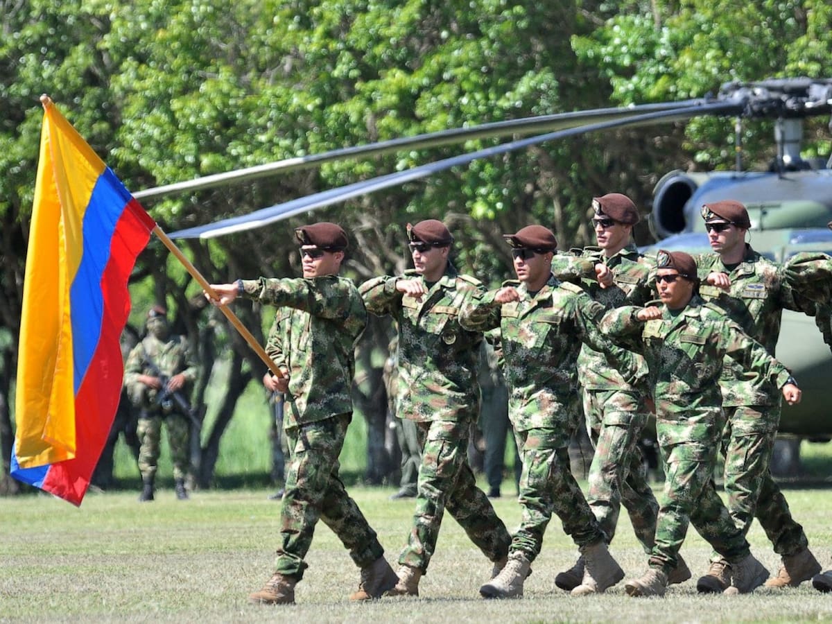 Así fue el 2024 para las Fuerzas Militares en Colombia: estos son los resultados