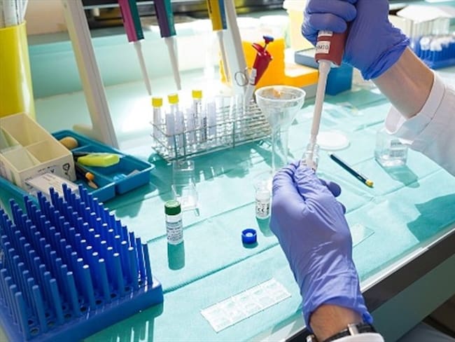 ¿Cómo ordenar semen por catálogo?