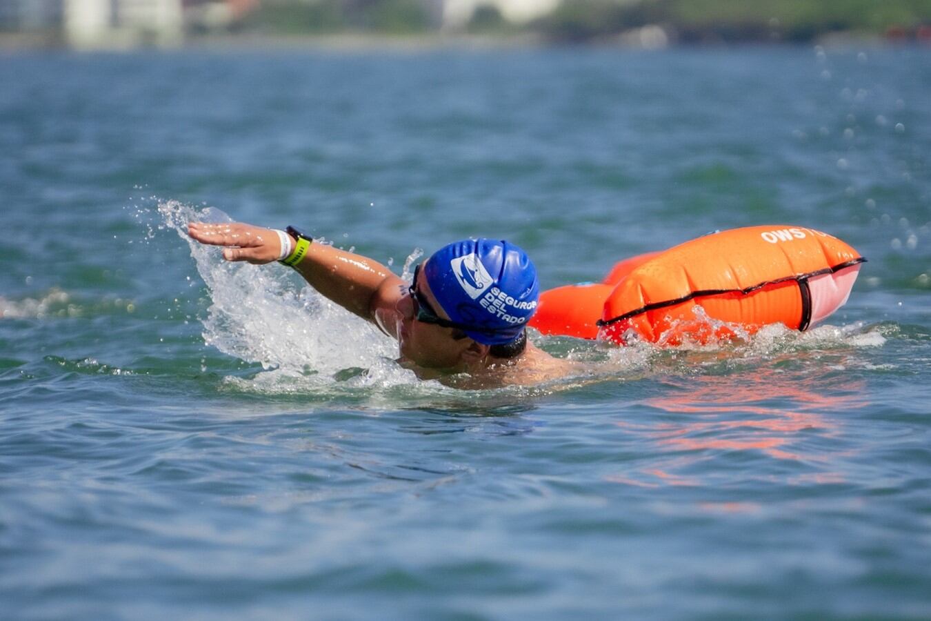 Nadador, imagen de referencia.