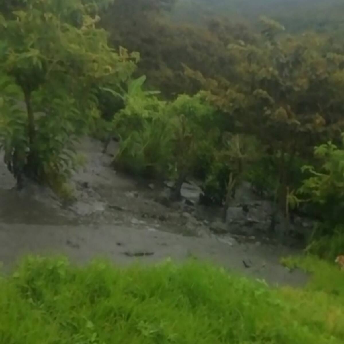 Boyacá: Remoción en masa arrasa con cultivos y animales en Socotá