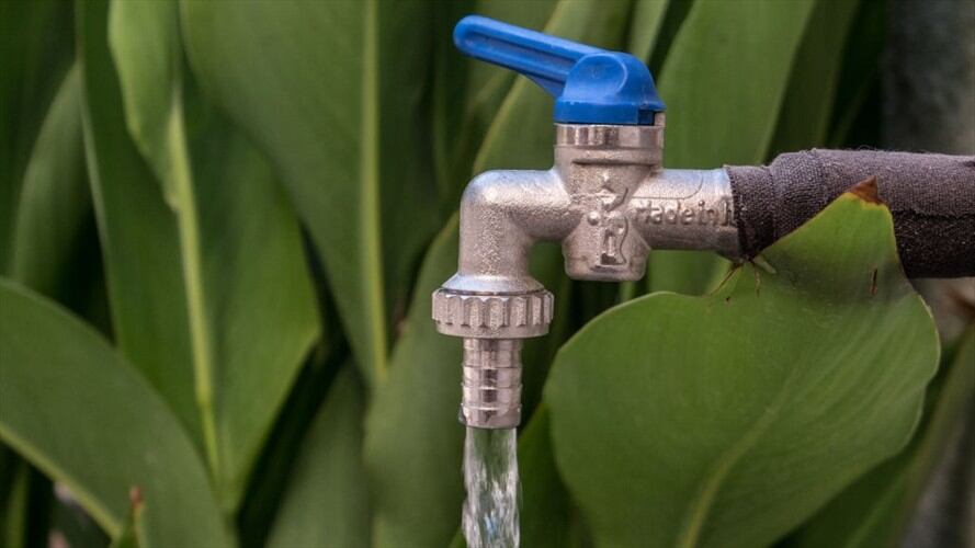 Solicitudes asociadas con servicios públicos en 2020. Foto: Getty Images