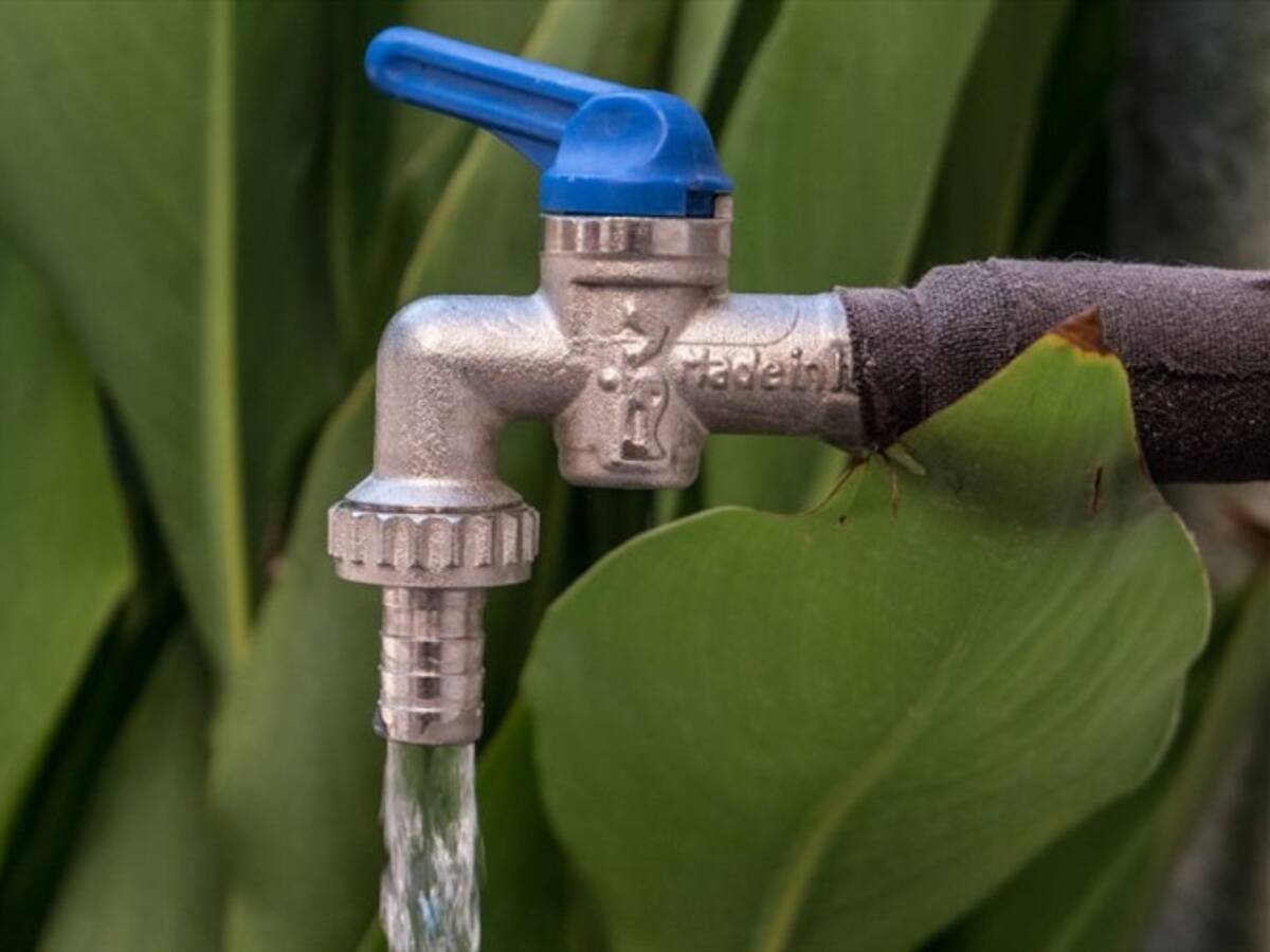 En 2020 la Superservicios recibió más de 260 mil solicitudes