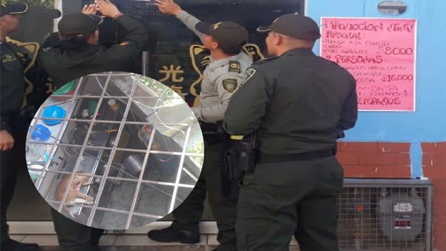 Autoridades incautarían carne de perro que sería vendida en un restaurante chino. Foto:suministrada.