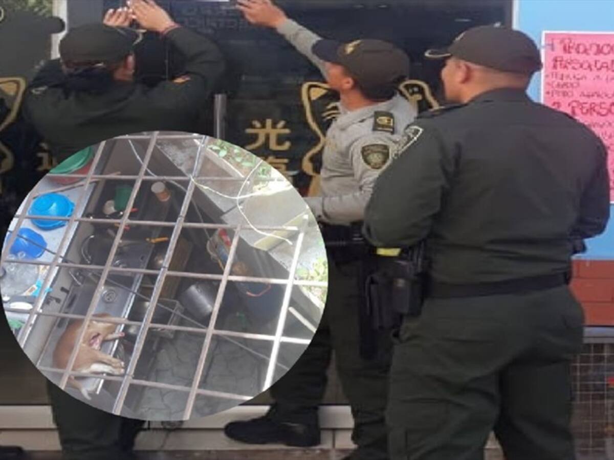 Dueños de restaurante en San Gil negaron vender carne de perro