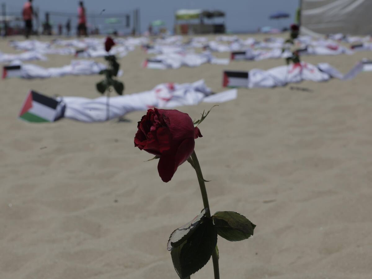 Asesinar palestinos no devolverá los muertos a Israel: director ONG ‘Breaking the Silence’