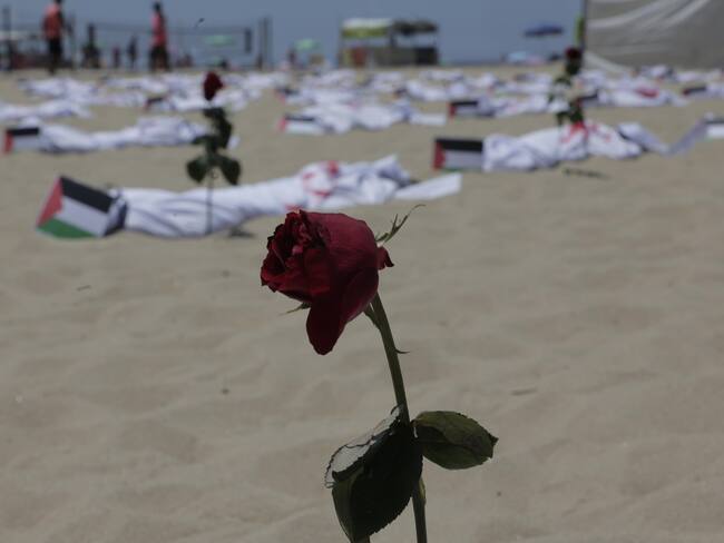 Asesinar palestinos no devolverá los muertos a Israel: director ONG ‘Breaking the Silence’