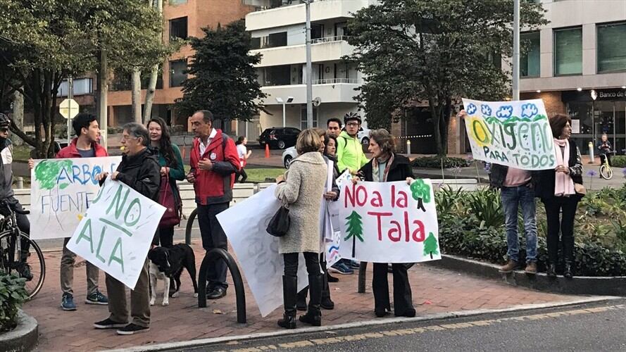 La Procuraduría pidió al alcalde de Bogotá, Enrique Peñalosa, que suspenda de inmediato la tala de árboles en el Parque Japón. Foto: En Twitter @CarlosCarrilloA