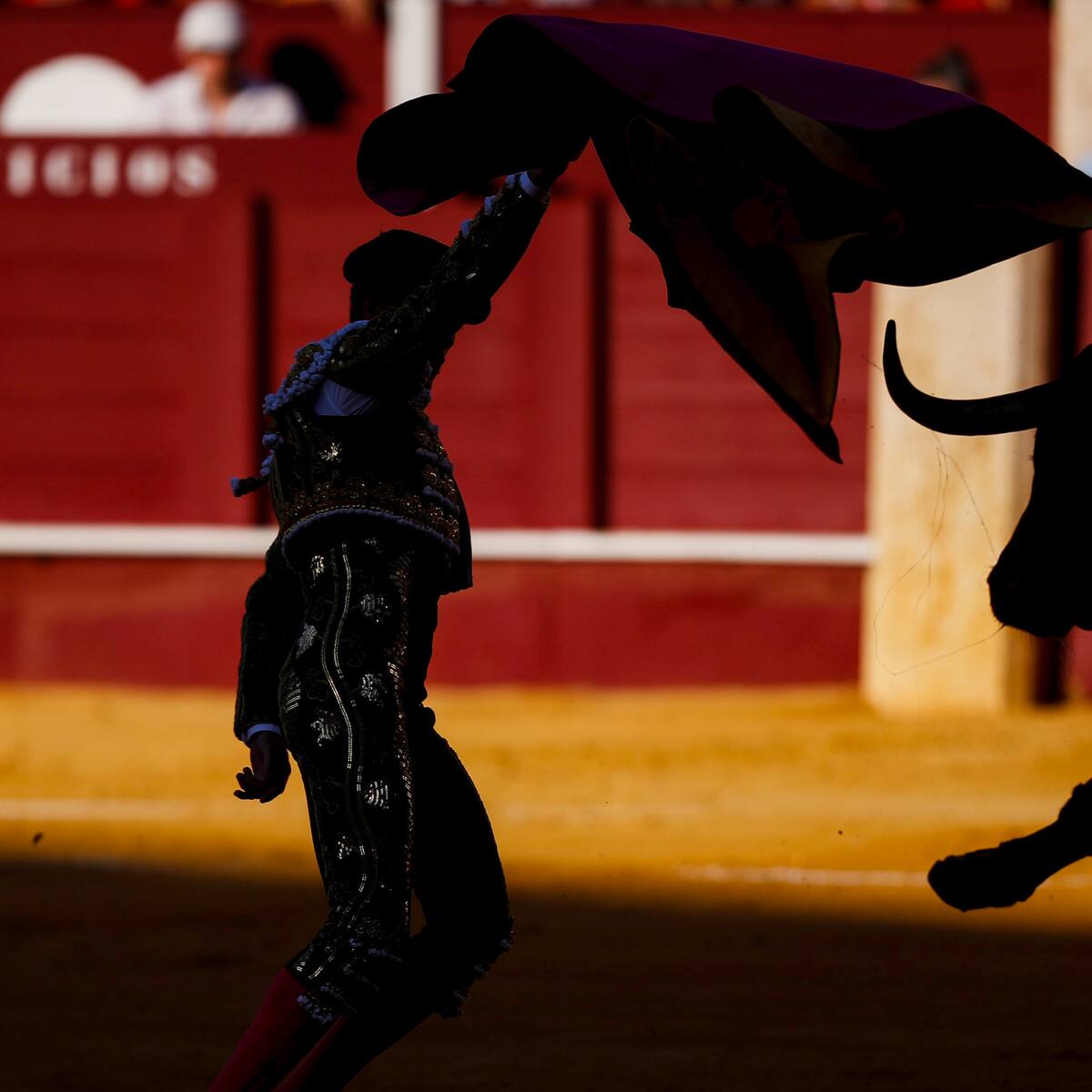 Corte Constitucional: ponencia pide dejar en firme ley que prohíbe las corridas de toros