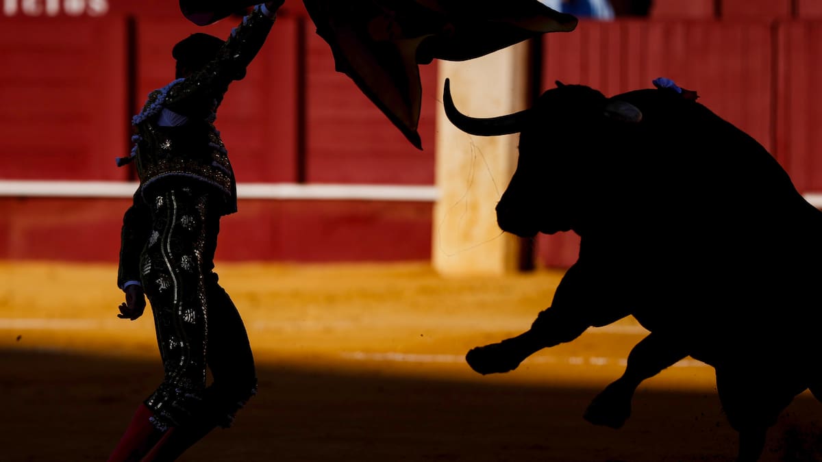 Desde el Centro Democrático demandaron la ley que prohíbe las corridas de toros