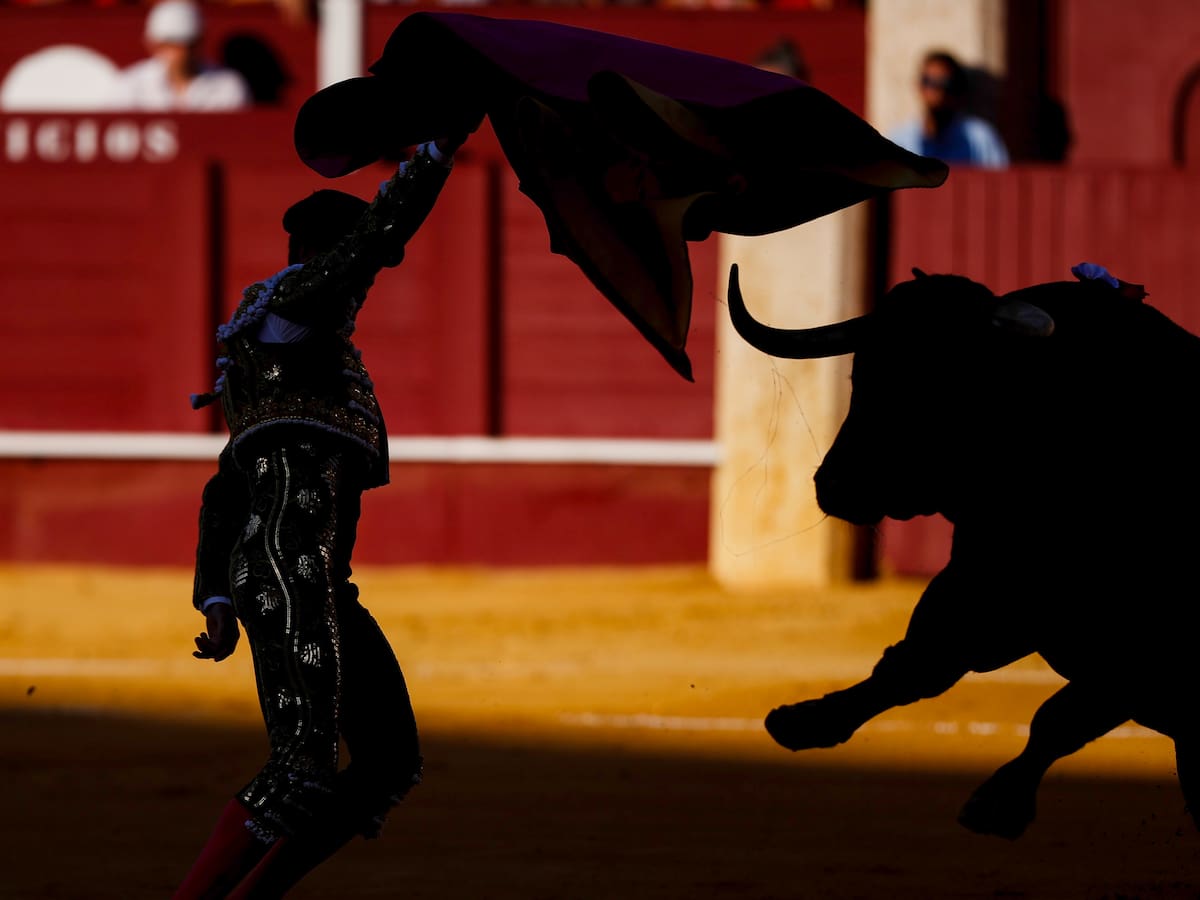 Corte Constitucional: ponencia pide dejar en firme ley que prohíbe las corridas de toros