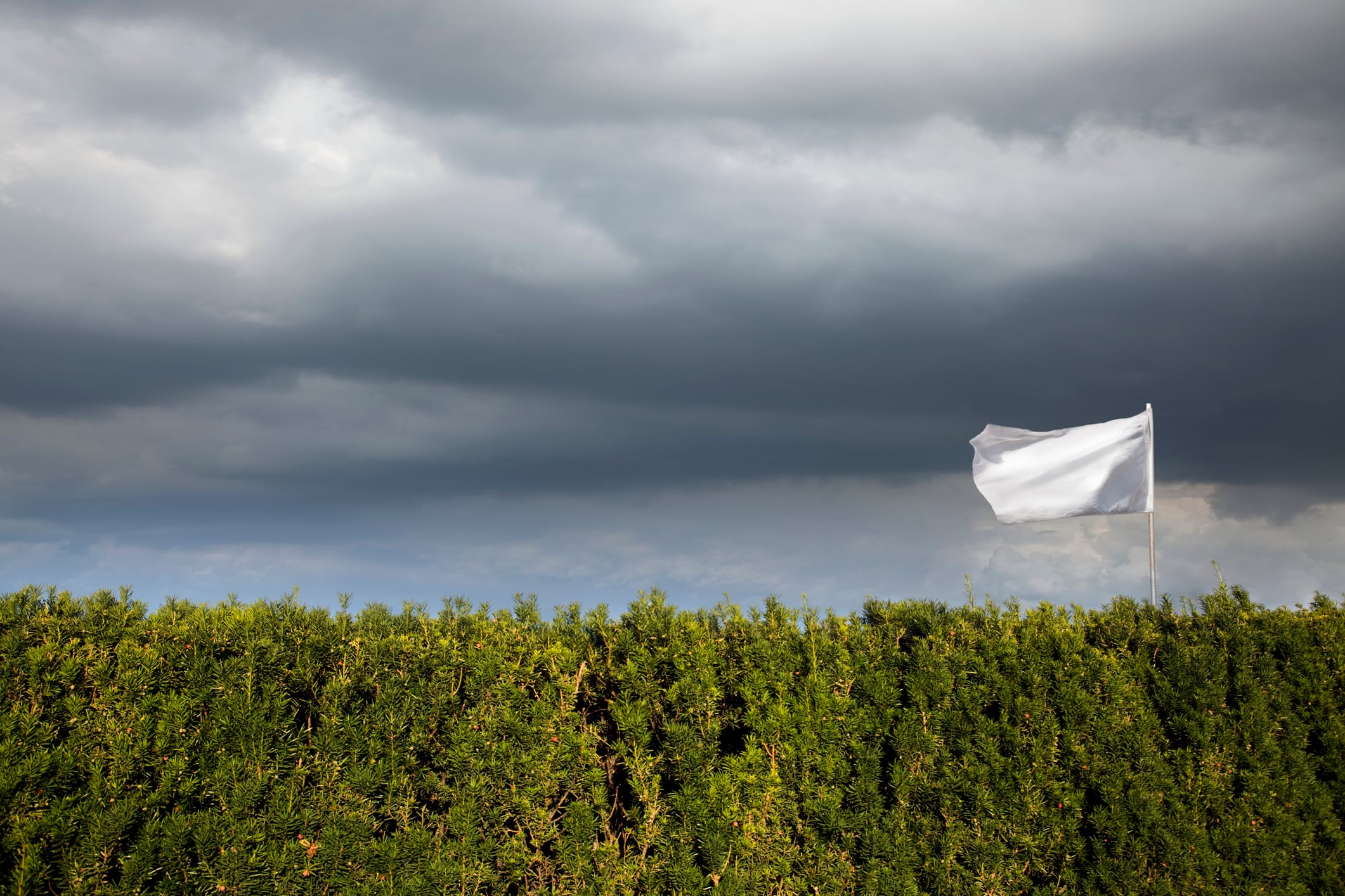 Paz imagen de referencia. Foto: Getty Images