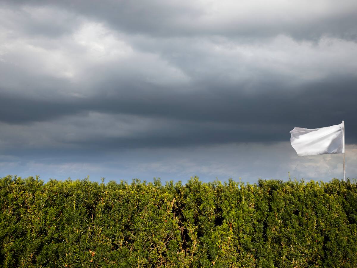 ¿Qué papel tendrán los gestores en la búsqueda de la paz total?
