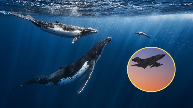 Getty Iamges - Fotos de stock