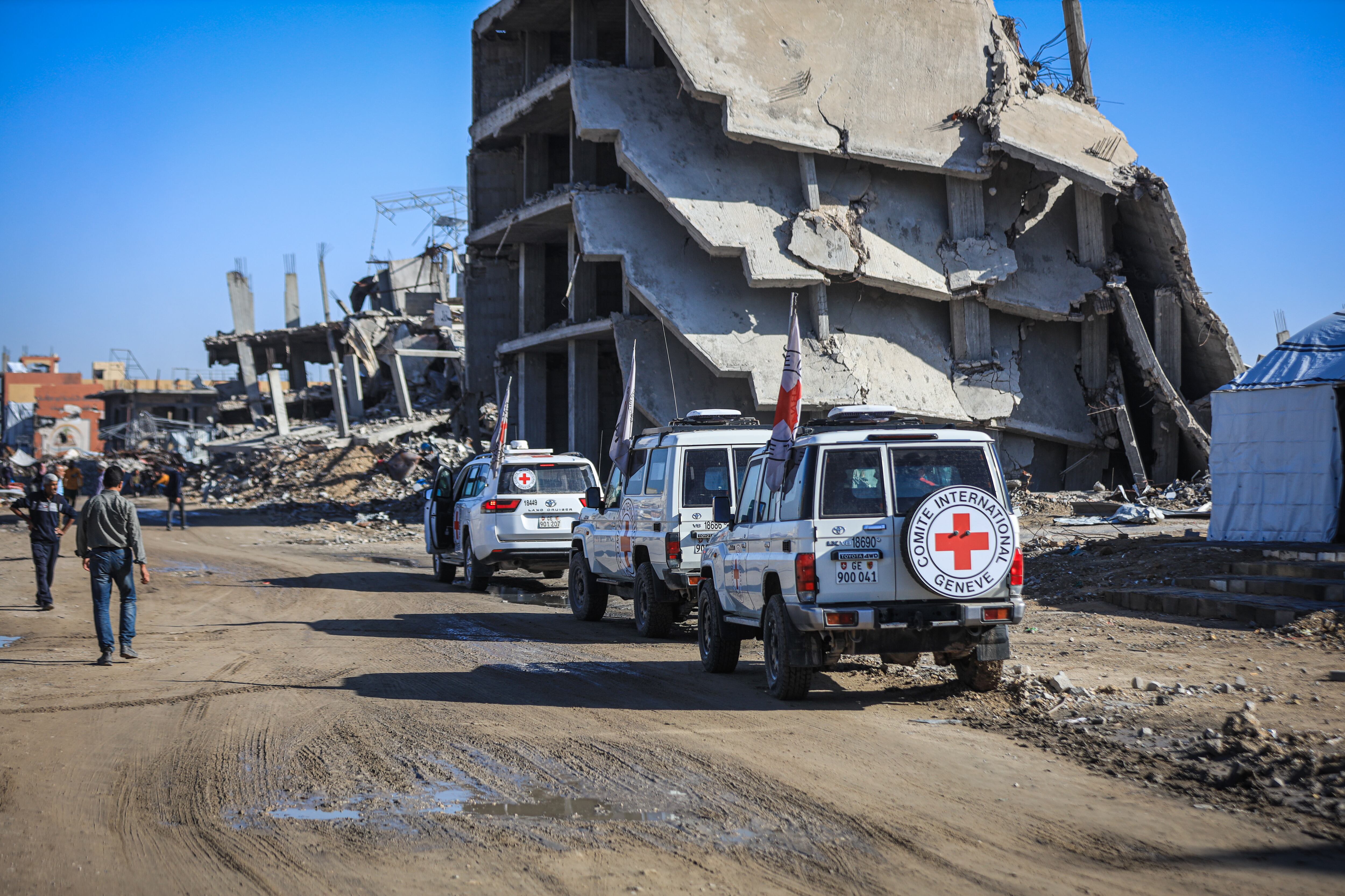 Traslado de cuerpos en Gaza. Foto: Hamza Z. H. Qraiqea/Anadolu via Getty Images
