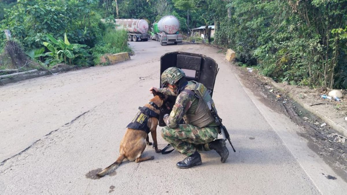 Desactivan artefacto explosivo en la vía Zulia- Tibú en Norte de Santander