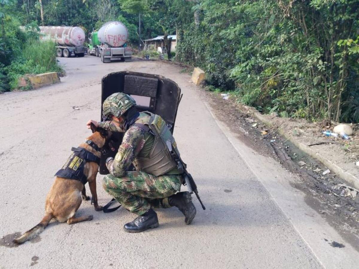 Desactivan artefacto explosivo en la vía Zulia- Tibú en Norte de Santander