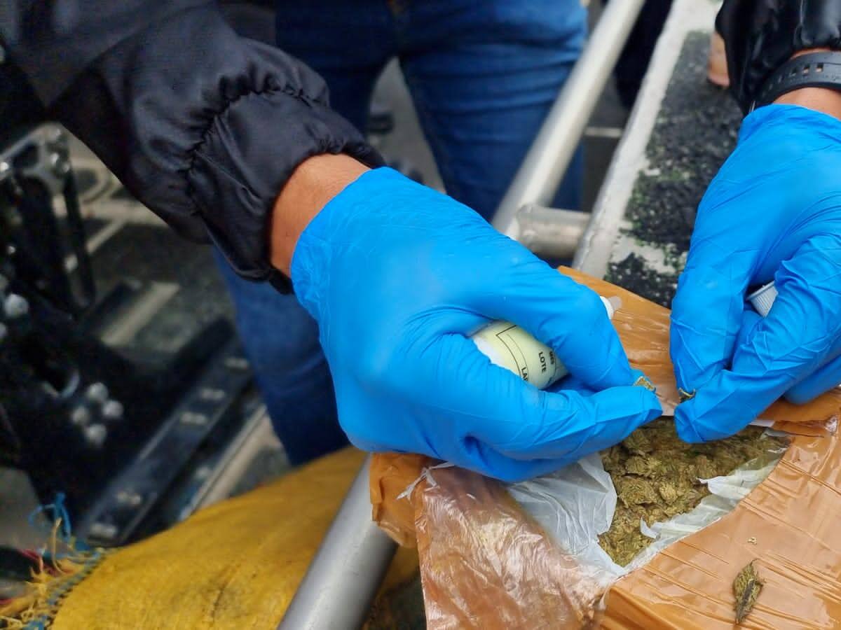 Incautan más de una tonelada de marihuana del Clan del Golfo en municipio del Atlántico