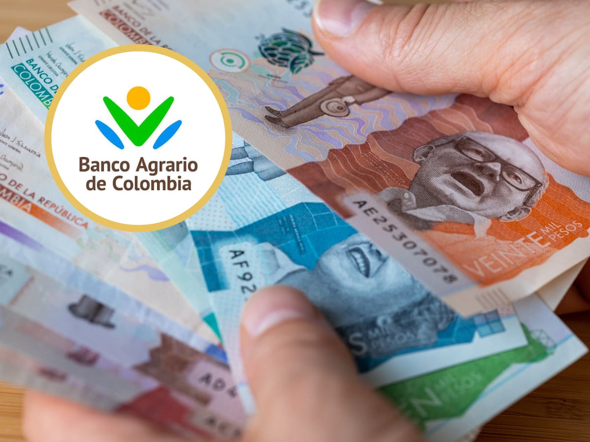 Lista de corresponsales del Banco Agrario para cobrar Devolución del IVA y Renta Ciudadana