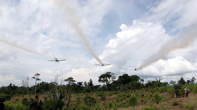 Combate de culvidos ilícitos a través del uso del glifosato. Foto: Colprensa