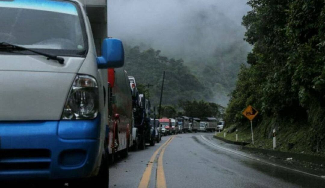 Transportadores de carga 