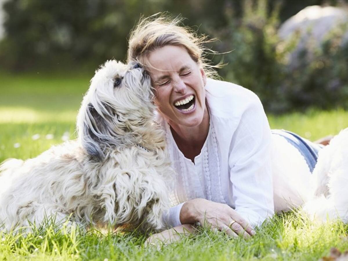 ¿Cuál es la clave de la felicidad? Un neuropsicólogo lo explica