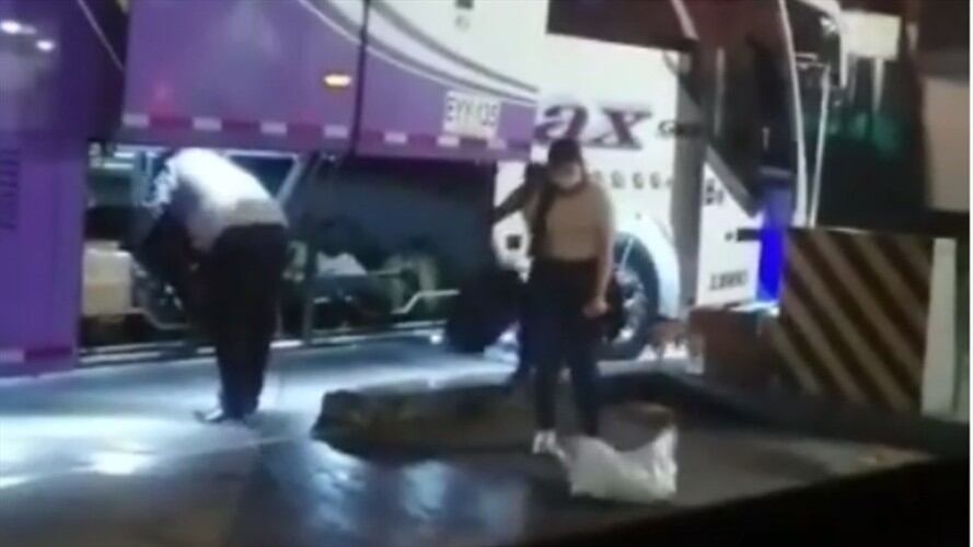 Perro atrapado en un costal. Foto: Captura de video.