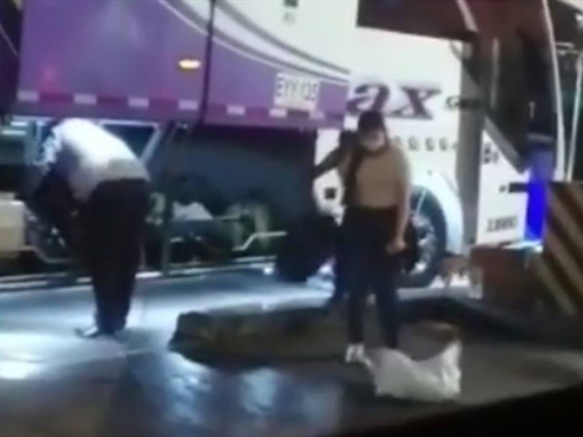 Indignación en Pereira por caso de un perro que fue empacado en un costal para viajar