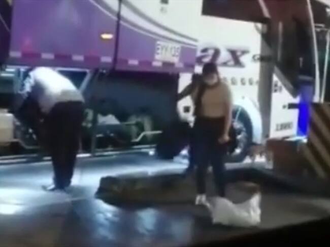 Perro atrapado en un costal. Foto: Captura de video.