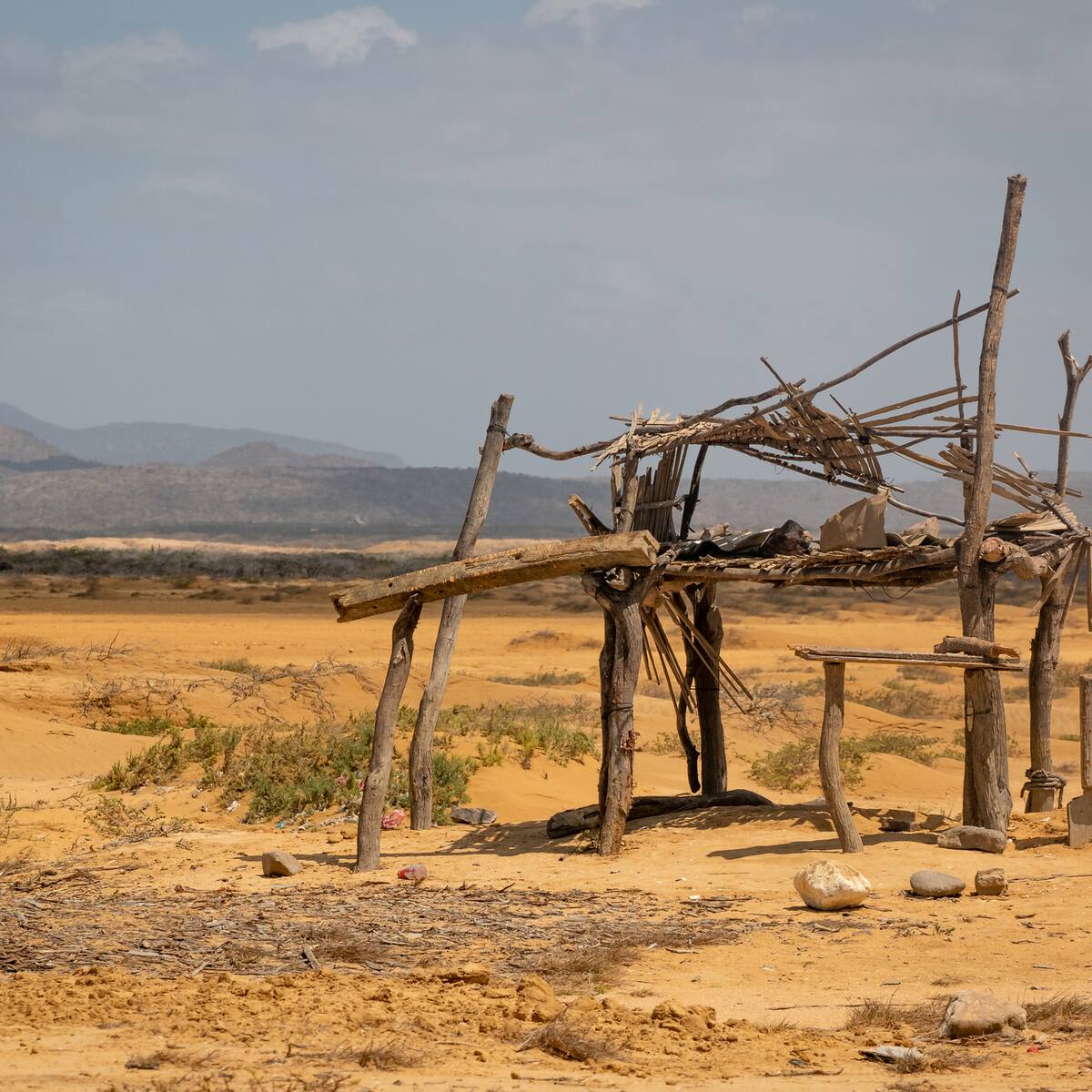 El ICA declaró una nueva emergencia sanitaria en el país, esta vez fue en La Guajira