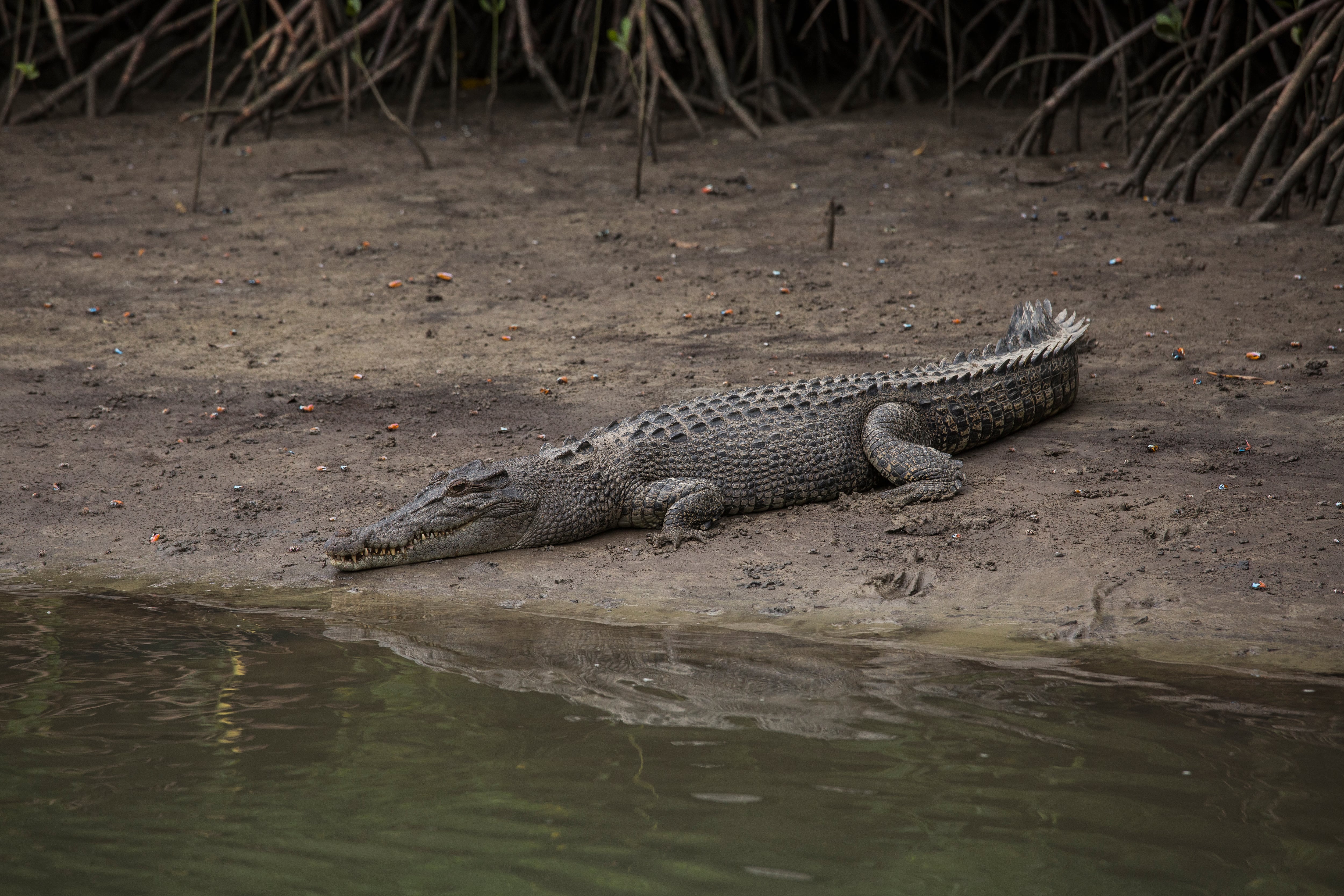 Imagen de referencia. Foto: Getty Images