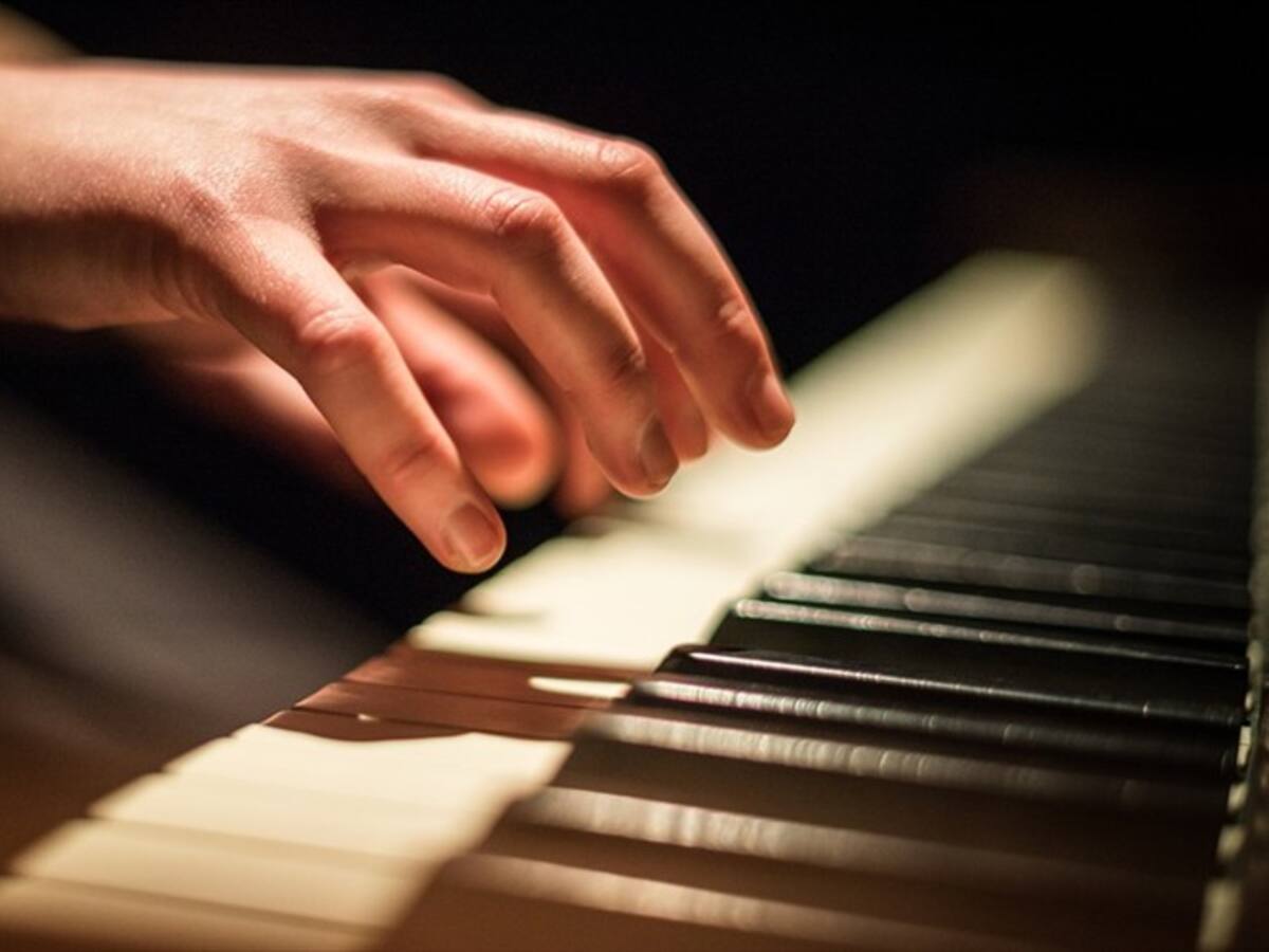 Sayco es una de las compañías recolectoras más voraces del mundo: Fernán Martínez