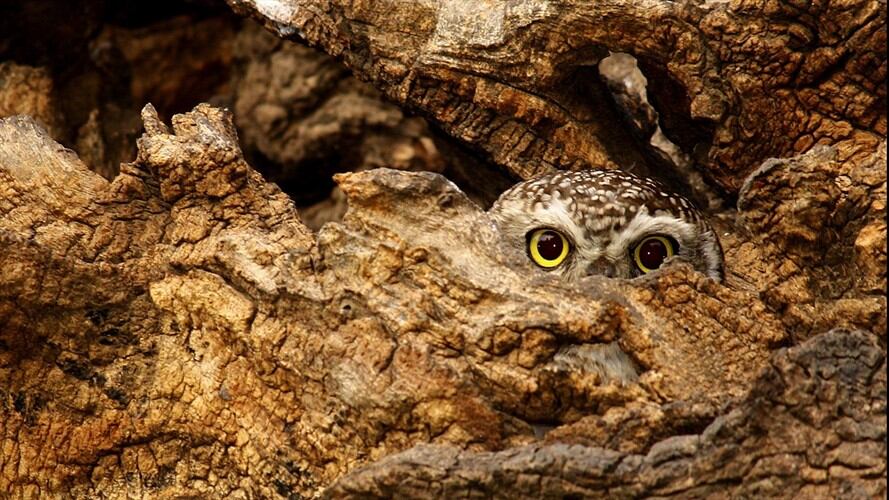 Imagen de referencia. Foto: Getty Images