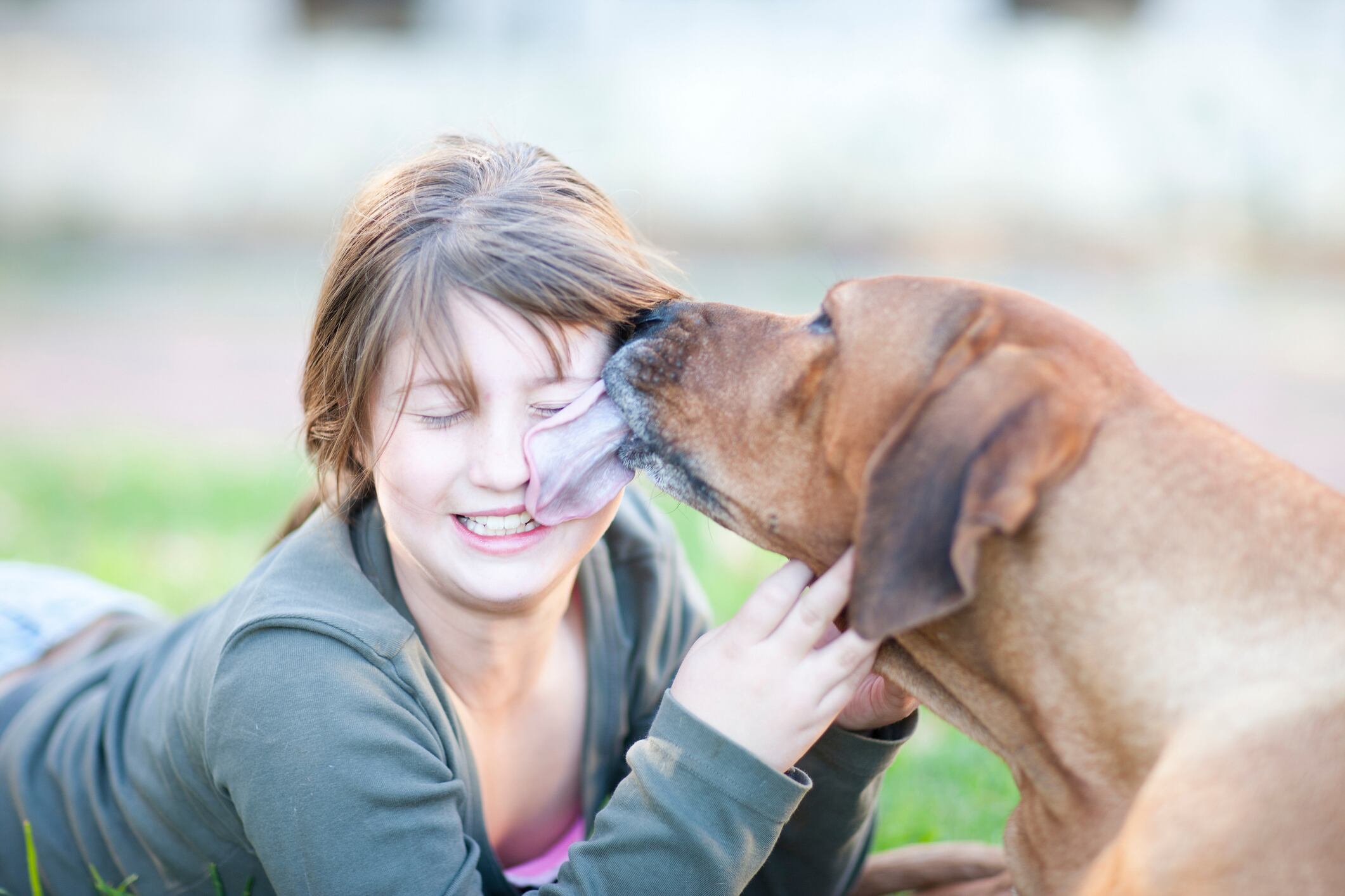 Imagen de referencia de perro lamiendo a mujer. Foto: Getty Images