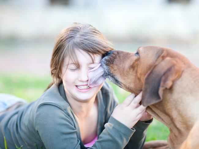 Imagen de referencia de perro lamiendo a mujer. Foto: Getty Images