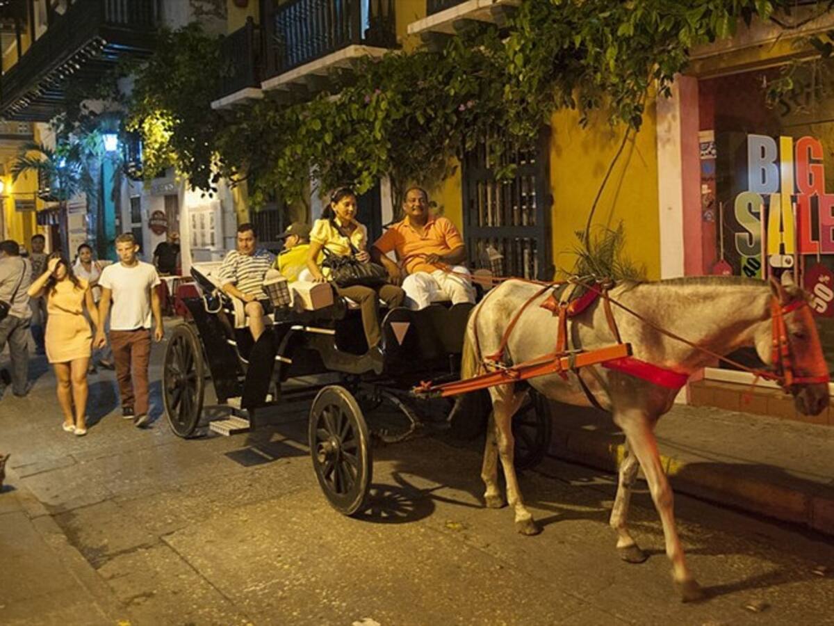 No hay seguimiento de la Alcaldía de Cartagena al maltrato de caballos cocheros: Fiscalía